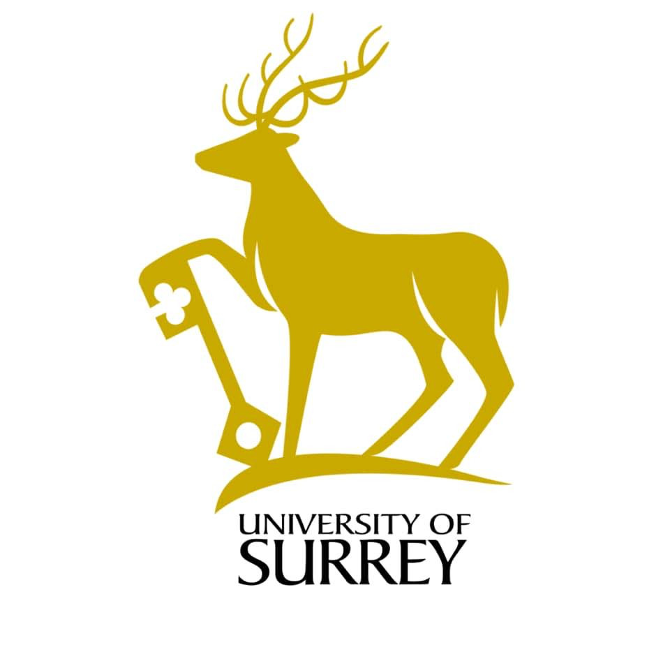 Logo University of Surrey