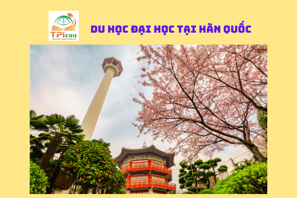 Du học hệ Đại Học tại Hàn Quốc