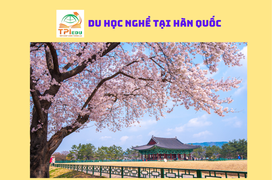 Du Học Nghề Hàn Quốc