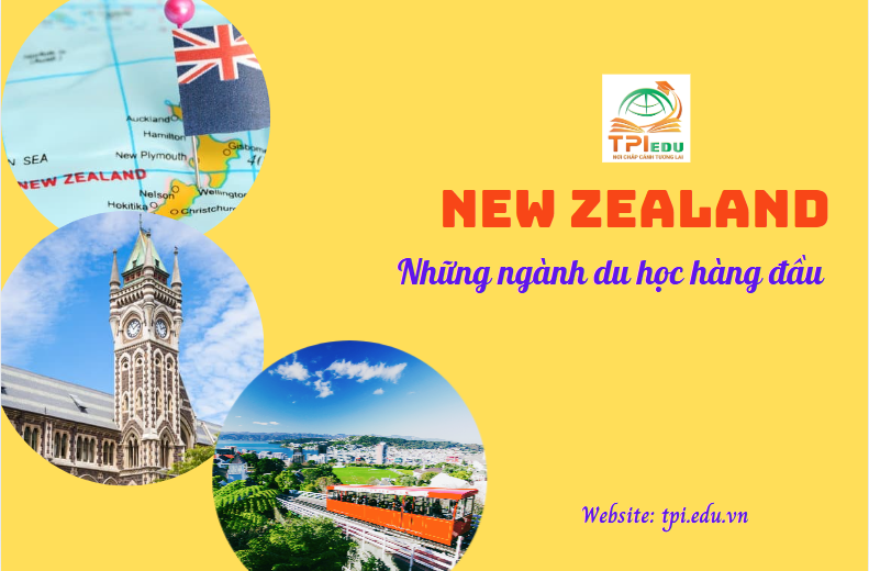 Danh sách ngành du học hàng đầu tại New Zealand